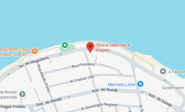 Ver localização no google maps